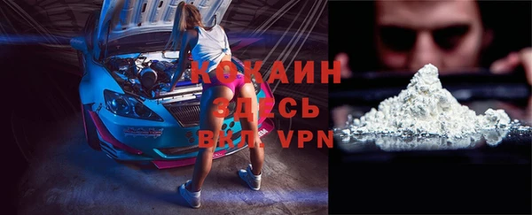 кокс Алексин