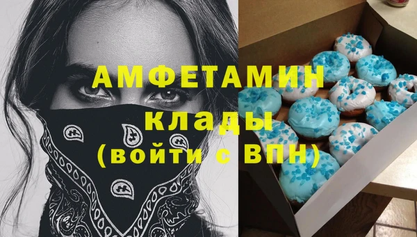 шишки Алзамай