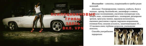 ПСИЛОЦИБИНОВЫЕ ГРИБЫ Алексеевка