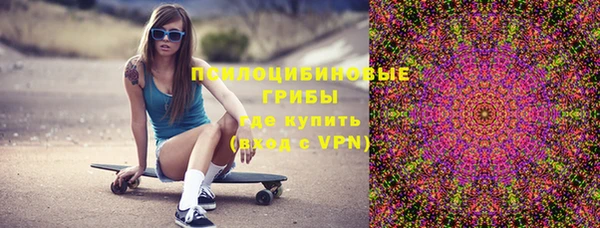 ПСИЛОЦИБИНОВЫЕ ГРИБЫ Алексеевка