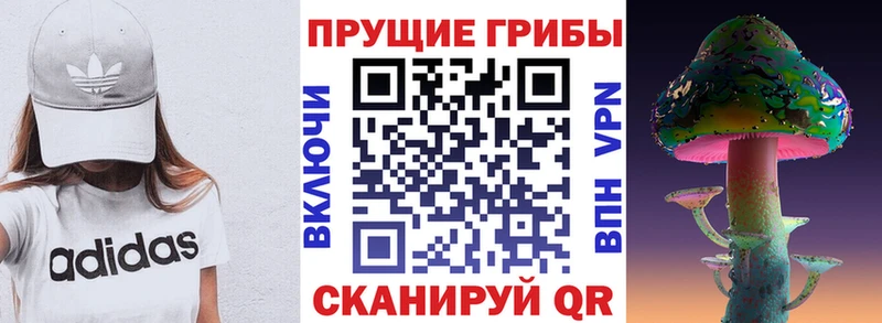 Галлюциногенные грибы мухоморы  Солигалич 